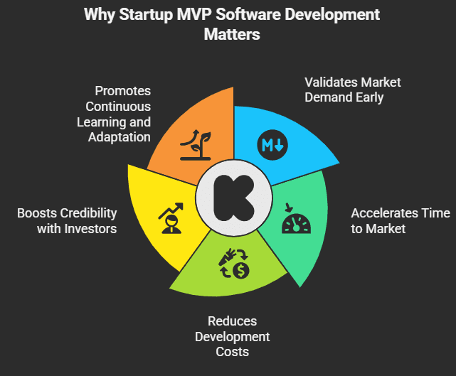 Why Startup MVP Software Development Matters