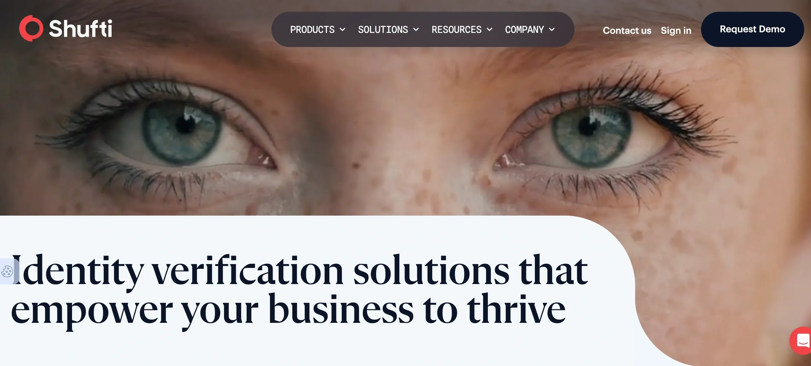 Shufti Pro landing page